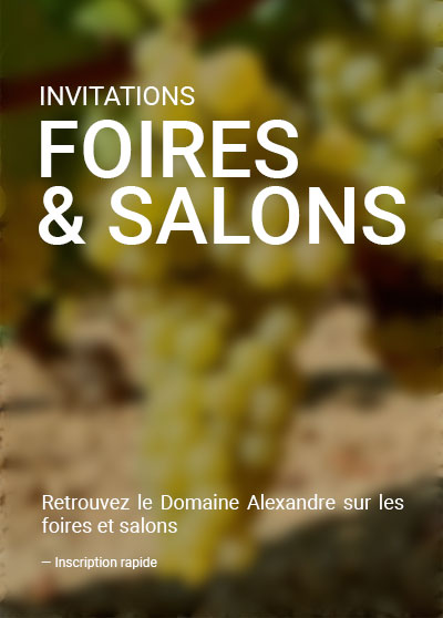 visuel_FOIRES_SALONS